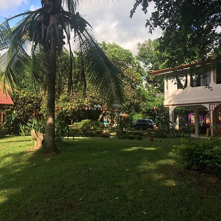 Casa Ballena Eco Hostel Uvita Eksteriør billede