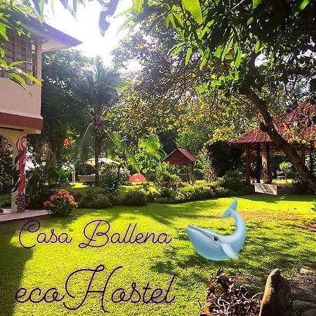 Casa Ballena Eco Hostel Uvita Eksteriør billede
