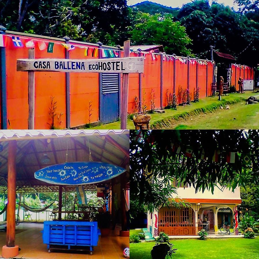 Casa Ballena Eco Hostel Uvita Eksteriør billede