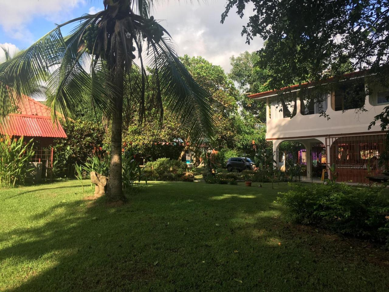 Casa Ballena Eco Hostel Uvita Eksteriør billede