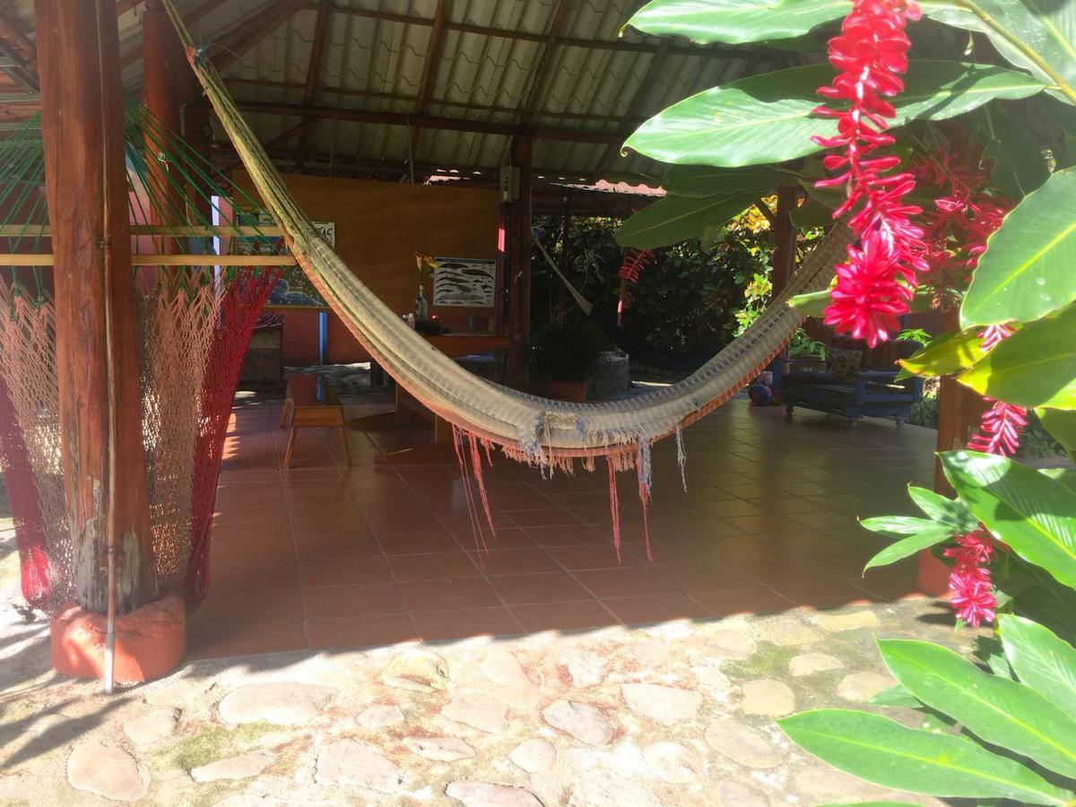 Casa Ballena Eco Hostel Uvita Eksteriør billede
