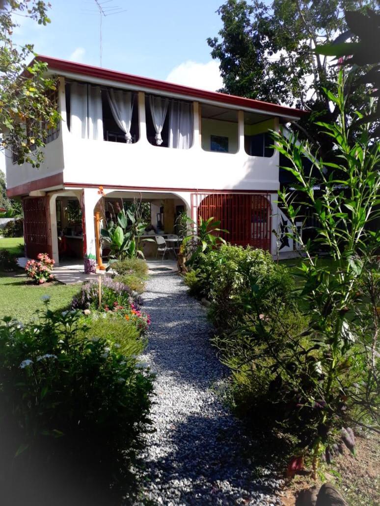 Casa Ballena Eco Hostel Uvita Eksteriør billede