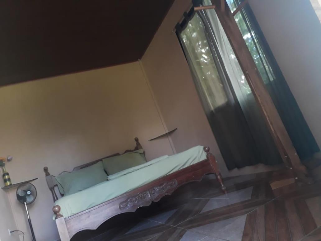 Casa Ballena Eco Hostel Uvita Eksteriør billede